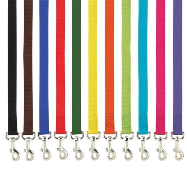 Casual Canine Casual Canine ZM2392 64 69 6 ft. x 0.62 in. Basic Nylon Dog Leash Lead; Orange ZM2392 64 69 - main